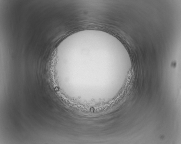 X0000116390043201001131839