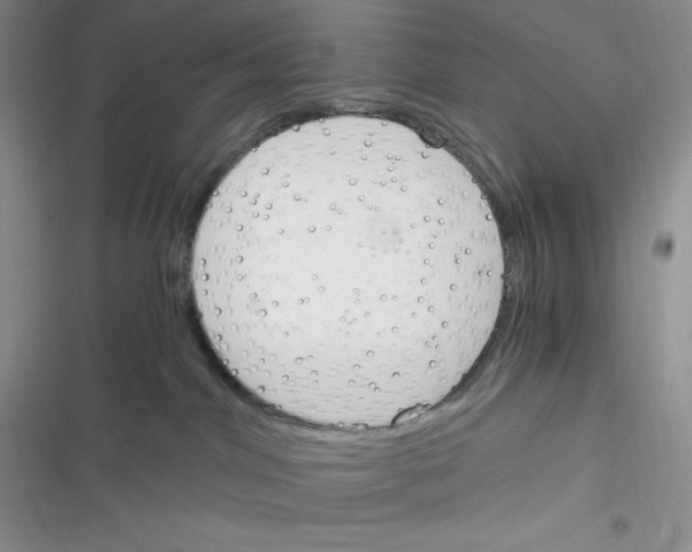 X0000116390044201001131839
