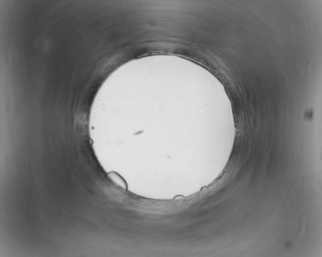 X0000116390045201001131839