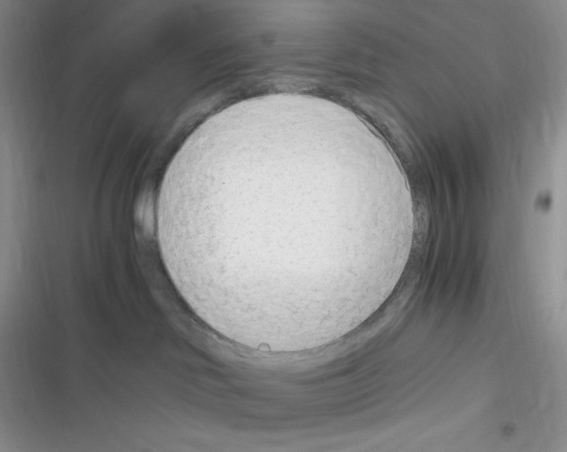 X0000116390046201001131839