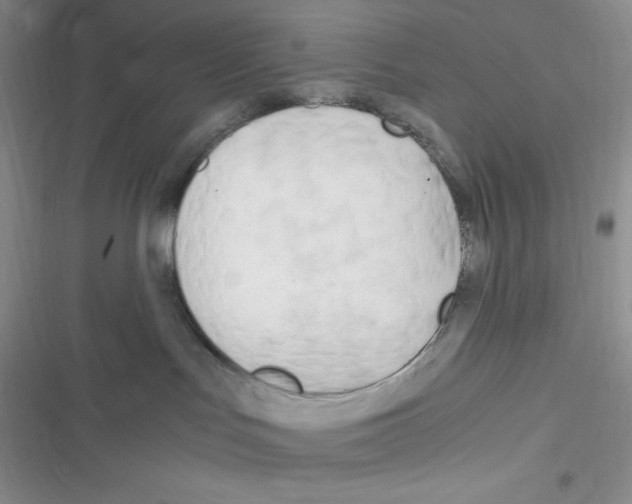 X0000116390047201001131839