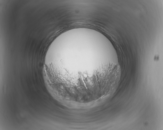 X0000116390048201001131839