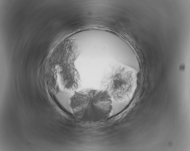 X0000116390049201001131838