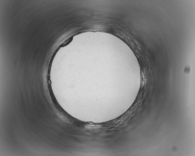 X0000116390051201001131838