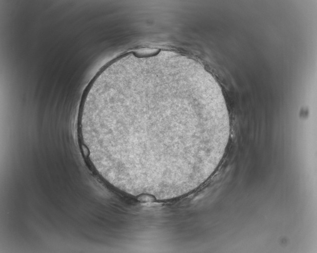 X0000116390052201001131838