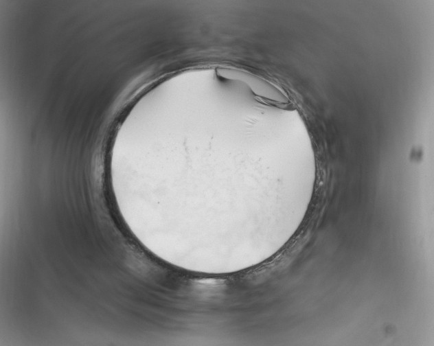 X0000116390053201001131838