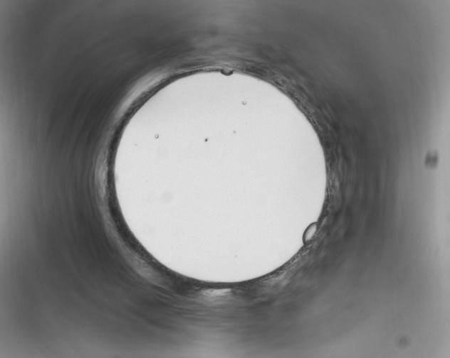 X0000116390054201001131838