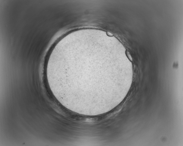 X0000116390056201001131838