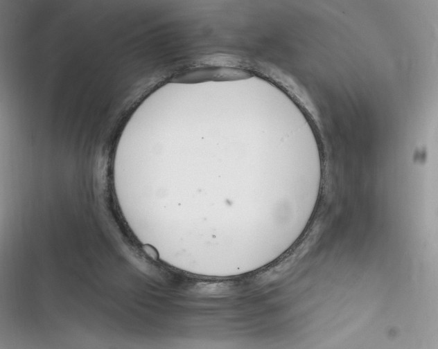 X0000116390057201001131838