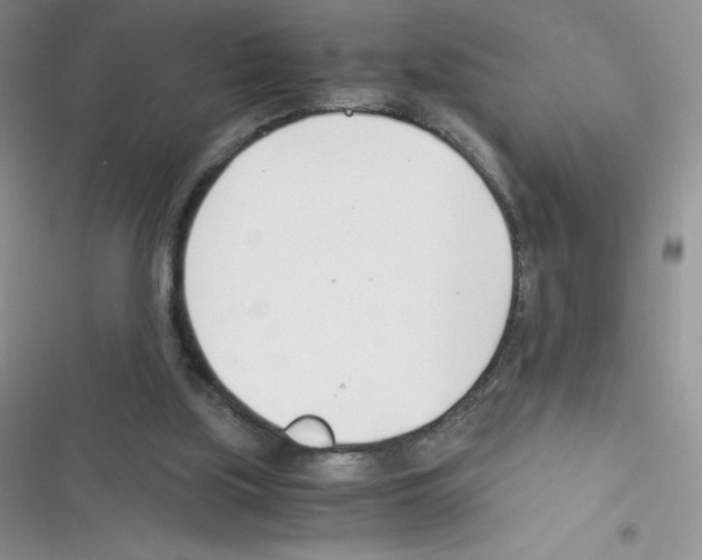 X0000116390059201001131838