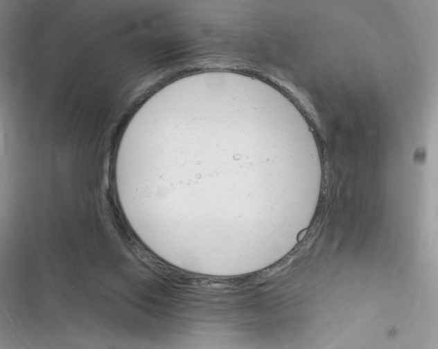 X0000116390062201001131838