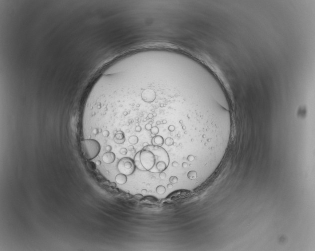 X0000116390063201001131838