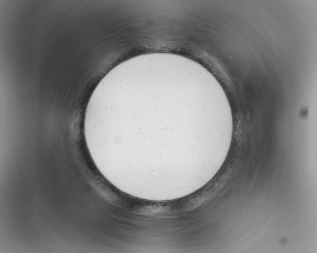 X0000116390065201001131838