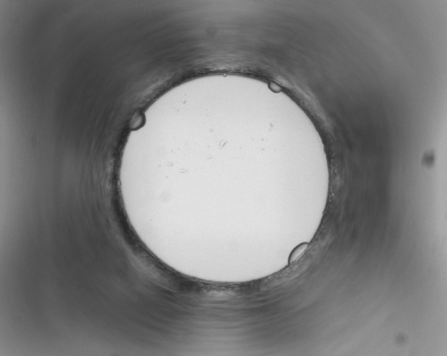 X0000116390066201001131838