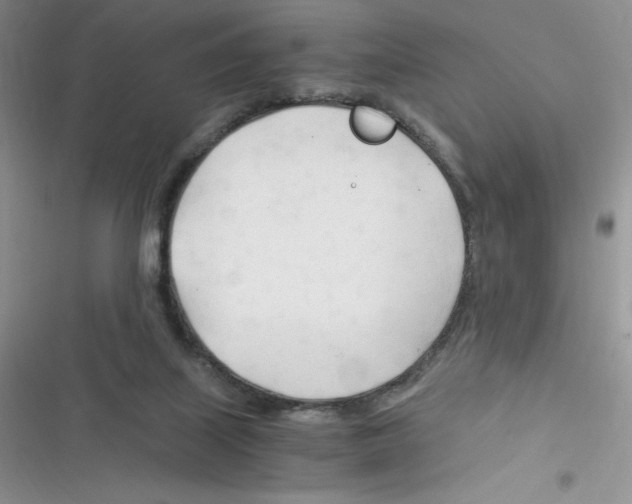 X0000116390067201001131838