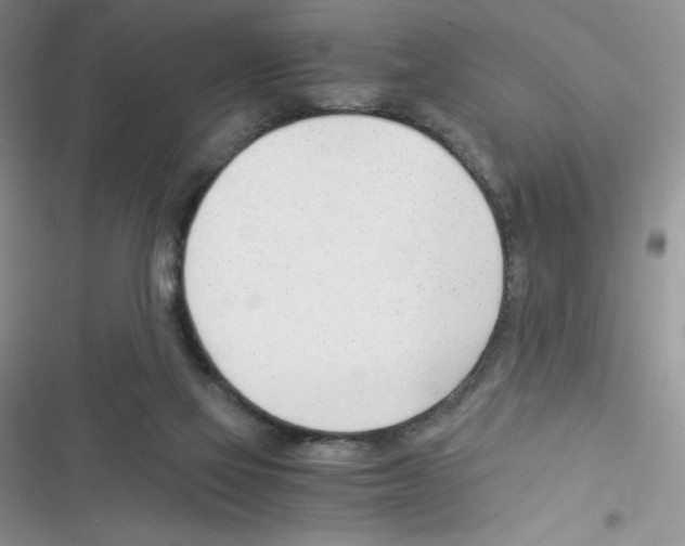 X0000116390069201001131838