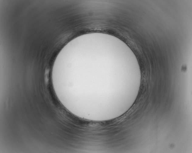 X0000116390070201001131838