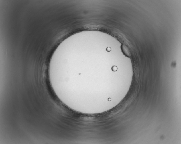 X0000116390071201001131838