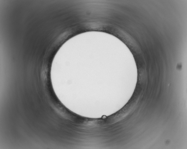X0000116390072201001131838