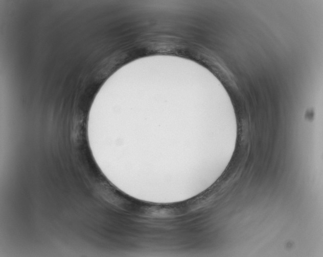 X0000116390073201001131838