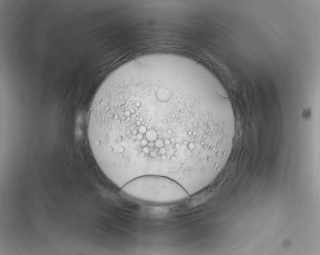 X0000116390075201001131838