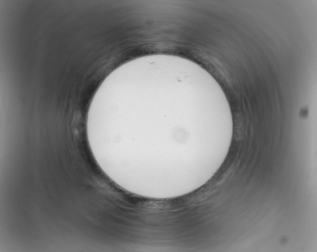 X0000116390077201001131839