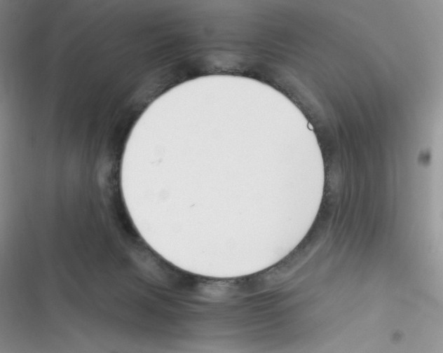 X0000116390079201001131839