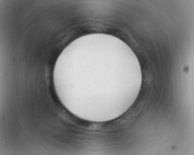 X0000116390080201001131839