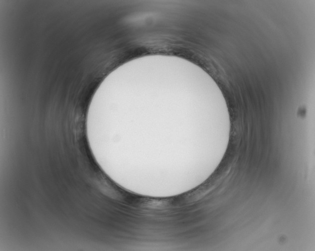 X0000116390081201001131839