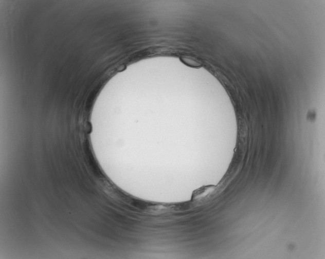 X0000116390082201001131839
