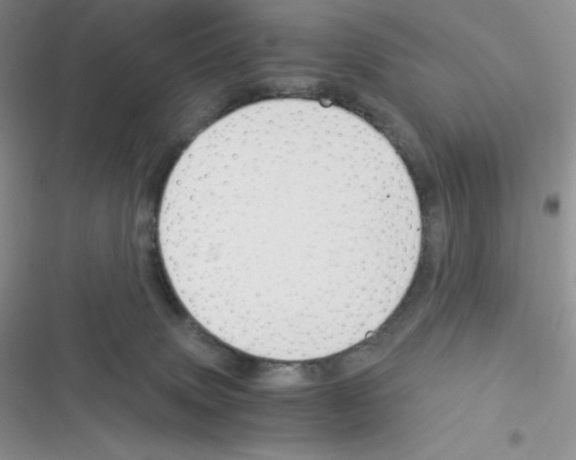X0000116390083201001131839