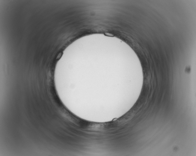 X0000116390084201001131839