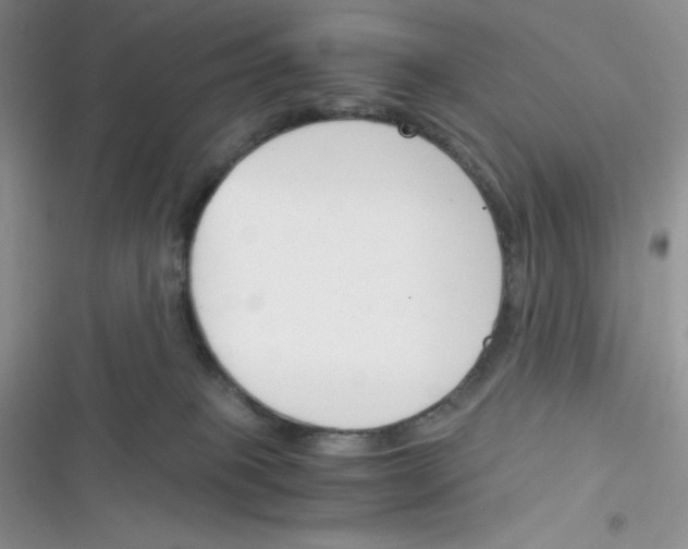 X0000116390085201001131839