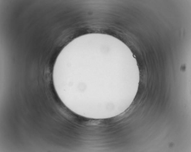 X0000116390086201001131839