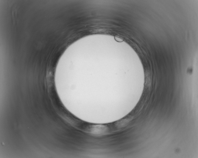 X0000116390087201001131839