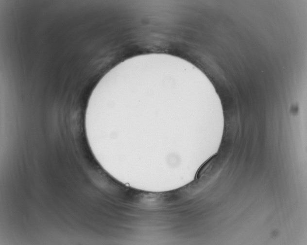X0000116390088201001131839