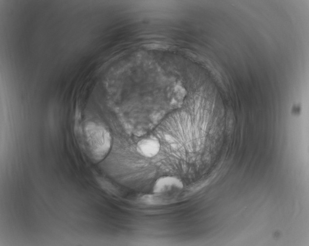 X0000116390089201001131839