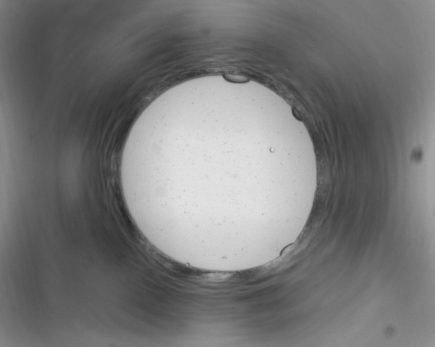 X0000116390090201001131839