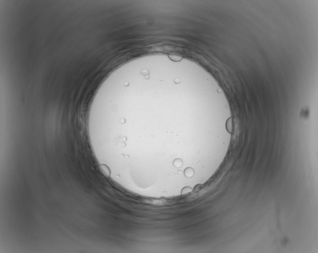 X0000116390091201001131839