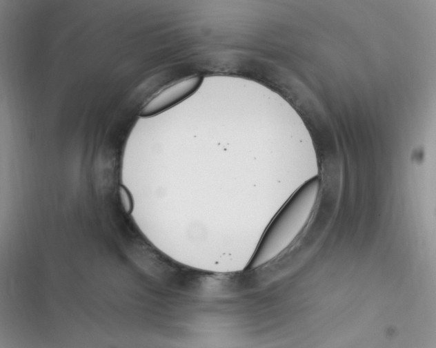X0000116390092201001131839