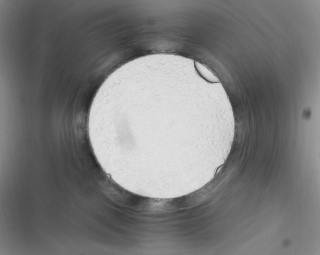 X0000116390093201001131839