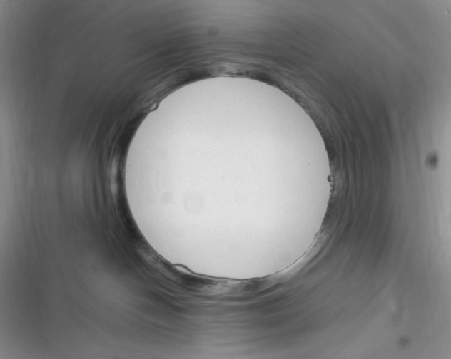 X0000116390094201001131839