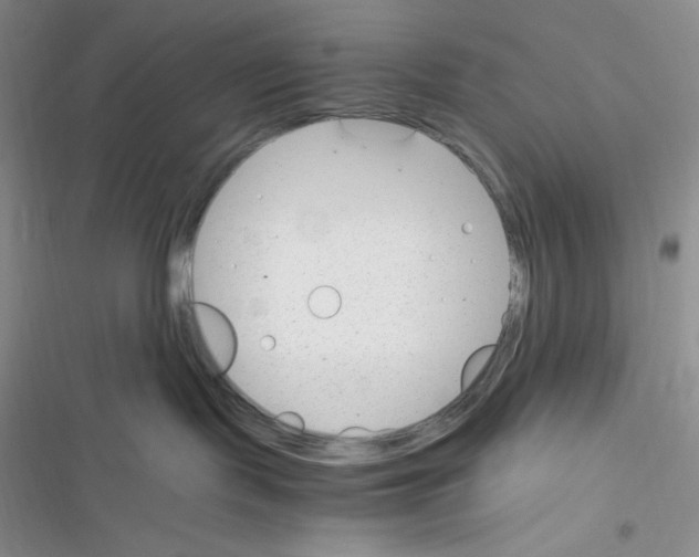 X0000116390095201001131839