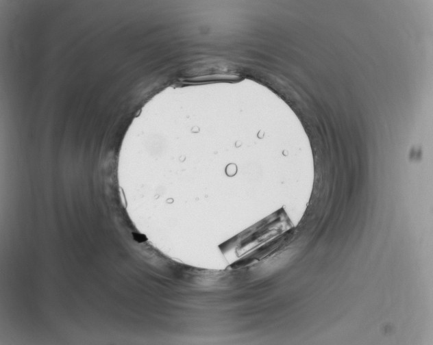 X0000116390096201001131839