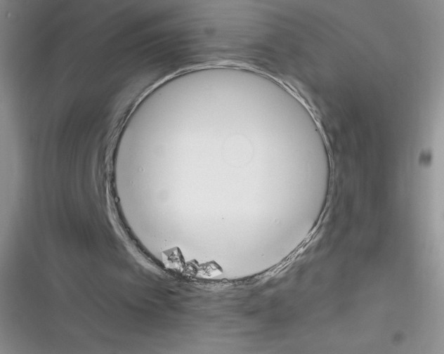 X0000116390097201001131838
