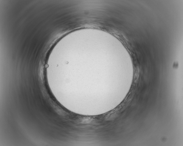 X0000116390098201001131838