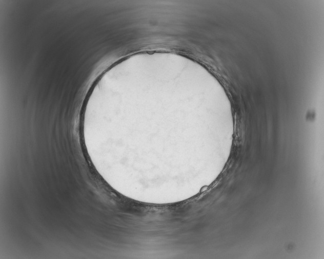 X0000116390099201001131838