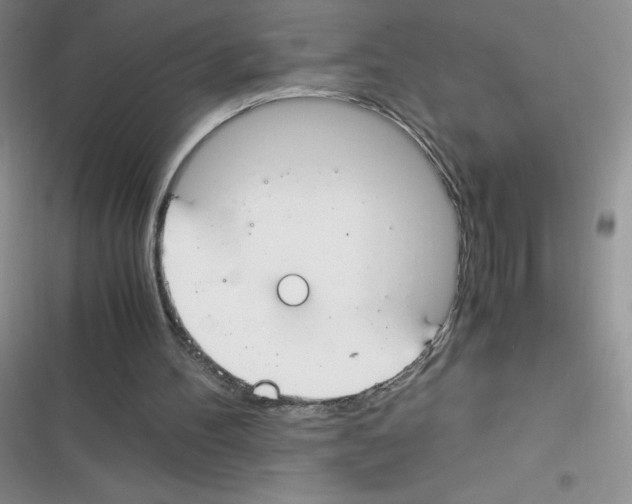 X0000116390100201001131838