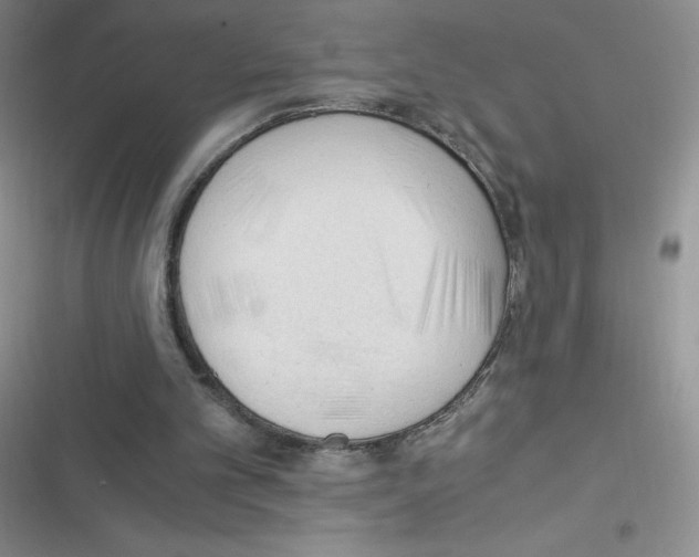 X0000116390101201001131838