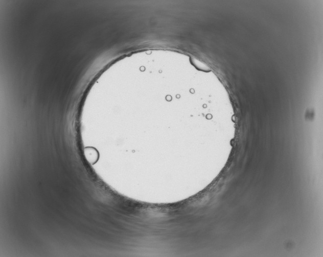 X0000116390103201001131838